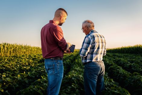 two-farmers-standing-in-a-field-examining-soy-crop-2025-01-29-08-23-18-utc